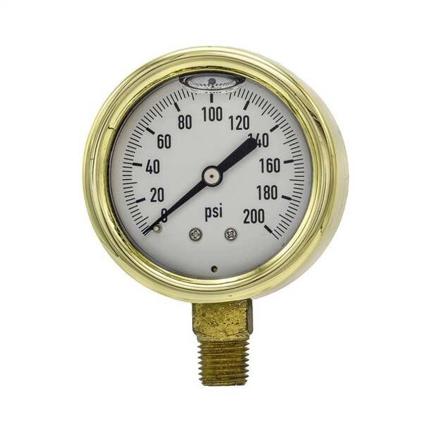 Pic Gauges Pressure Gauge,1/4 in. NPT,2-1/2 in. 601L-254G