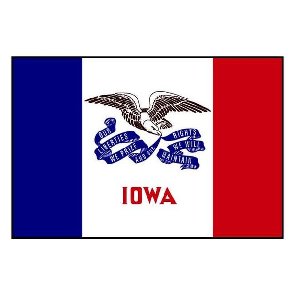 Annin Flagmakers Iowa State Flag,3x5 Ft 141760