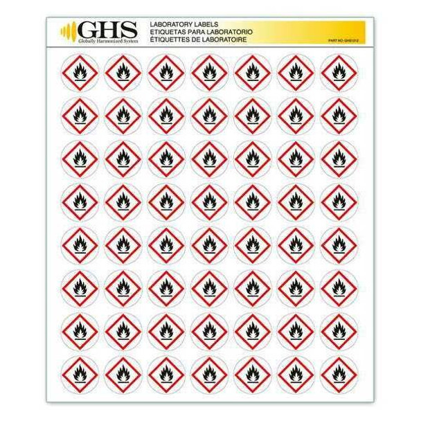 Ghs Safety GHS Label, 1 in H, 1 in W, Paper, PK1120 GHS1212