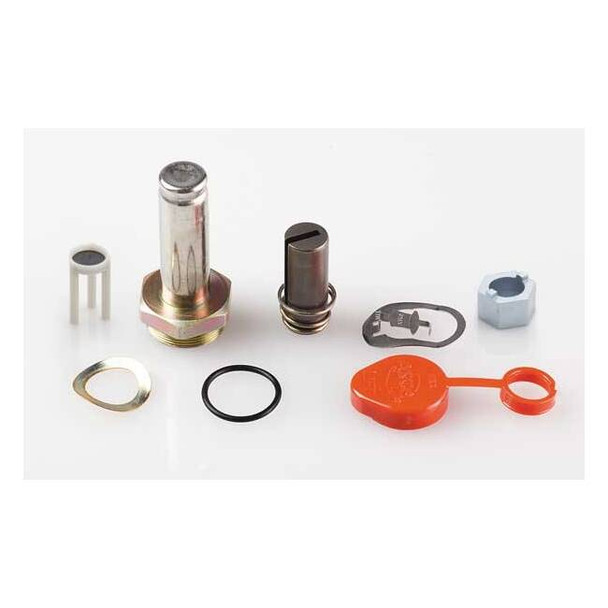Asco Valve Rebuild Kit 302116