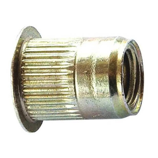 Rivet Nut, 1/4"-20 Thread Size, 0.5 in Flange Dia., 0.58 in L, Steel, 25 PK