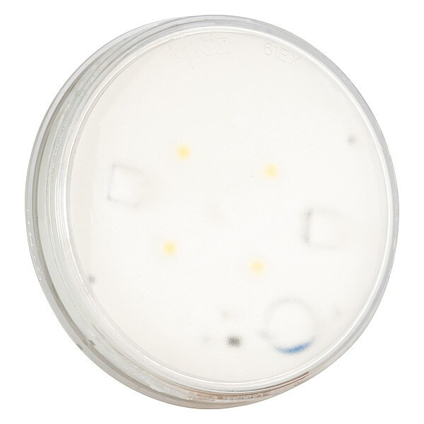 Grote Rubber Utility Dome Lamp,LED,12V, 61E41