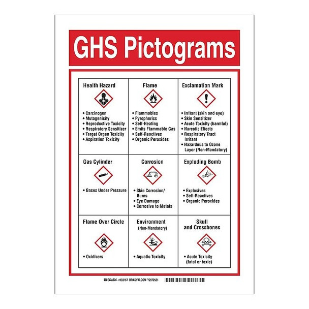 Brady GHS Sign, GHS Picto, 10 in W, 14 in H 133167