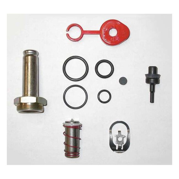 Asco Valve Rebuild Kit,With Instructions 302698