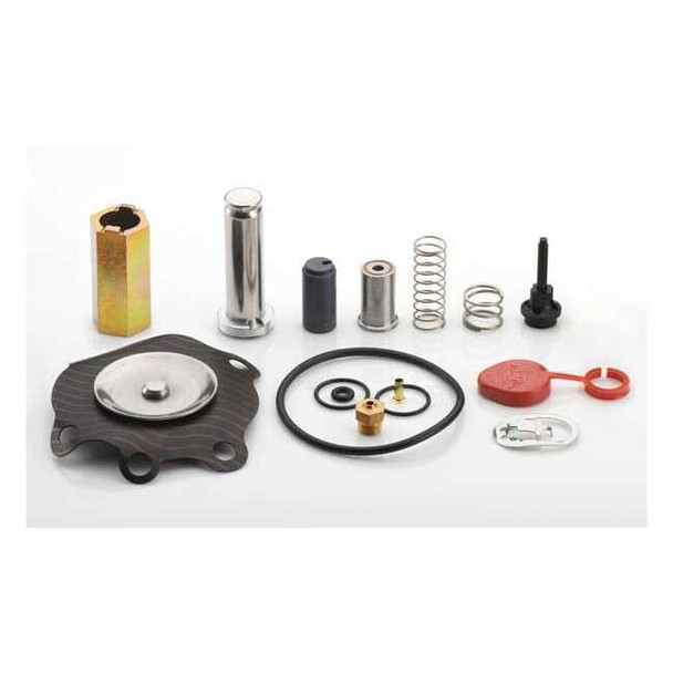 Asco Solenoid Valve Rebuild Kit,For 6031328 302338