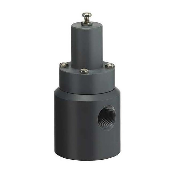 Plast-O-Matic Pressure Relief Valve,1/2In,5 to 100 psi RVD050V-PV