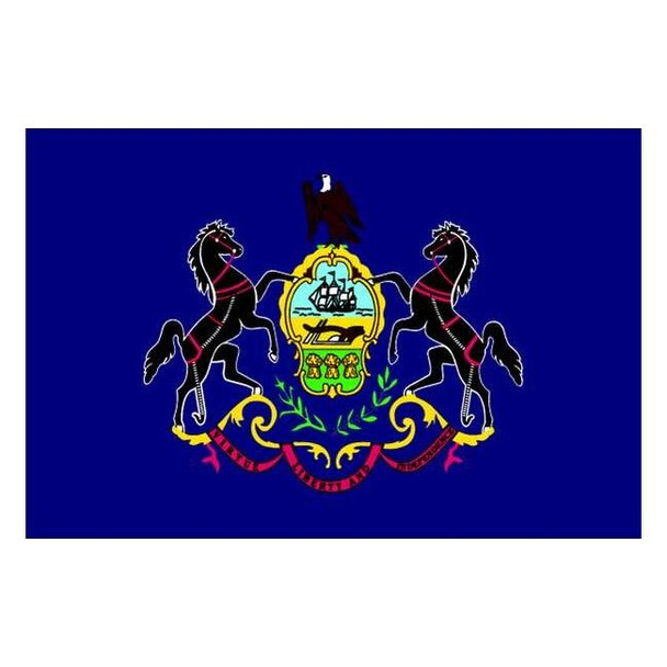 Annin Flagmakers Pennsylvania State Flag,3x5 Ft 144660