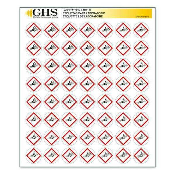 Ghs Safety GHS Label, 1 in H, 1 in W, Paper, PK1120 GHS1210