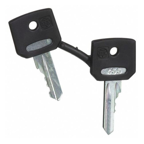 Schneider Electric Set of Keys,Replacement,22mm ZBG455