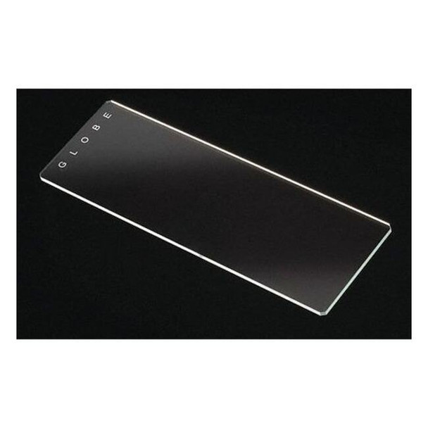 Globe Scientific Microscope Slide,Clear,1.1mm,PK144 1321