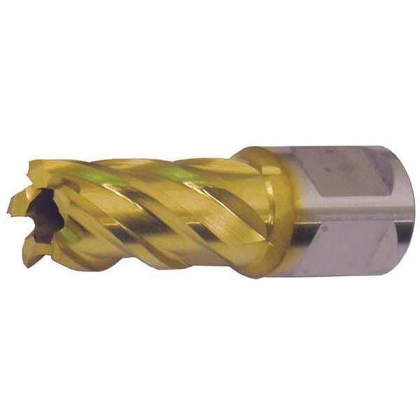 Slugger by Fein Annular Cutter,M42 TiN,1/2 Dia,2 D 63134127110