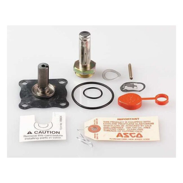 Asco Valve Rebuild Kit,With Instructions 302308