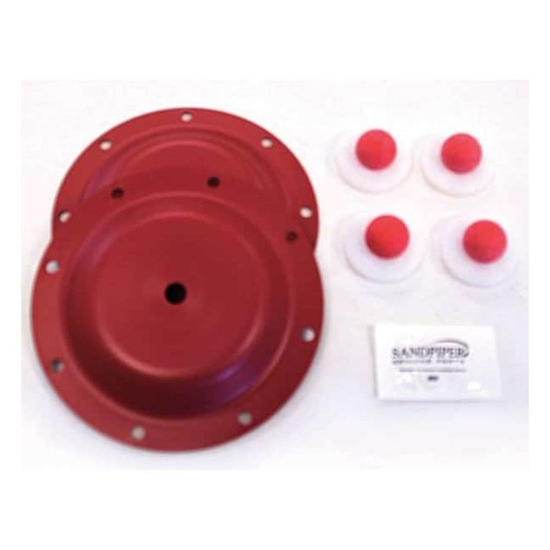 Sandpiper Fluid End Repair Kit, PTFE Ball, 1 in 476.194.654