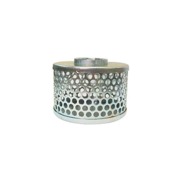 2"" FNPT Plated Steel Round Hole Strainer