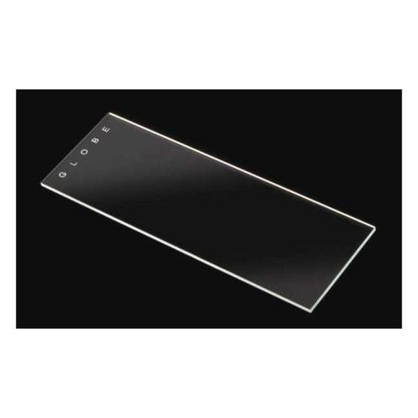 Globe Scientific Microscope Slide,Clear,Glass,PK144 1301