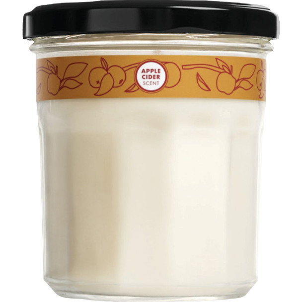 Mrs. Meyer's Clean Day 7.2 Oz. Apple Cider Large Soy Candle 11592