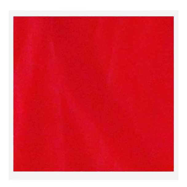 Manufacturer Varies Throwaway Flag,Red/Orange,12x12In,PK100 1EKR9 Manufacturer Varies Throwaway Flag,Red/Orange,12x12In,PK100 1EKR9
