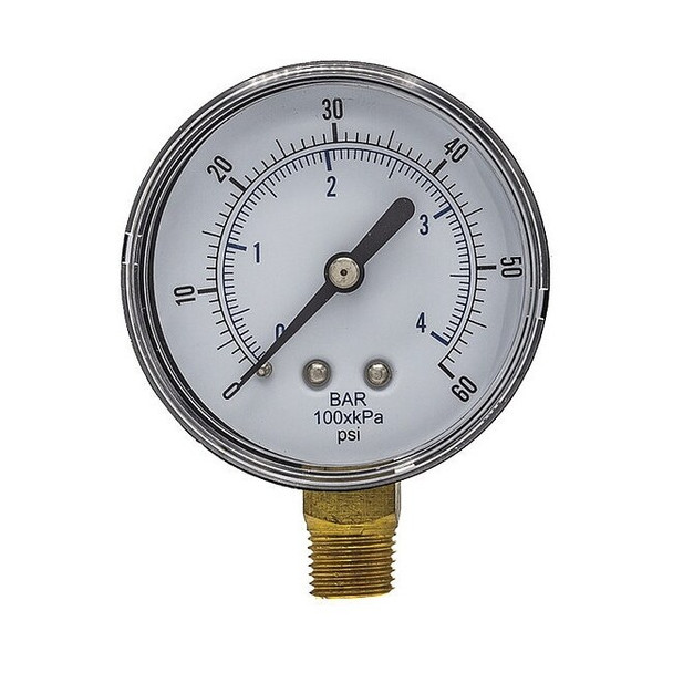 Pic Gauges SEP-101D-254D-BSPT