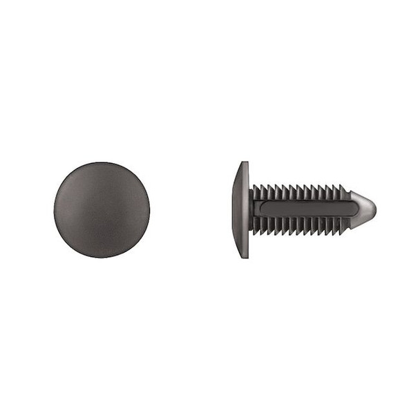 Push-In Rivet, Dome Head, 10 mm Dia., 30 mm L, Nylon Body, 50 PK