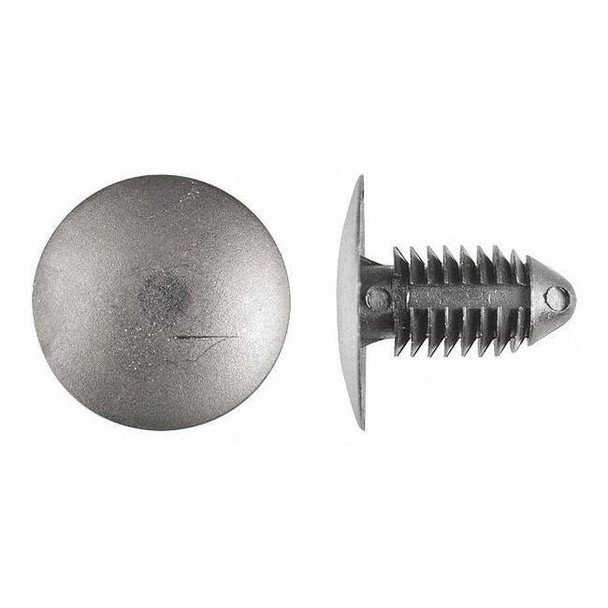 Push-In Rivet, Dome Head, 0.375 in Dia., 27/32 in L, Nylon Body, 25 PK