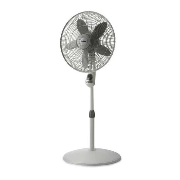 18" Blade Dia Pedestal Fan, Oscillating, 3 Speeds, 120VAC, White, Remote Control