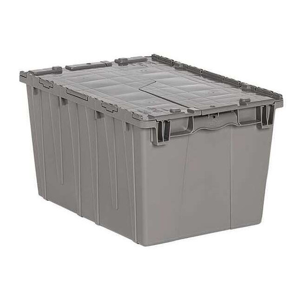 Orbis FP171 GRAY
