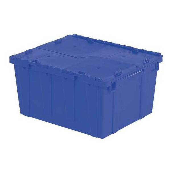 Orbis FP261 Blue