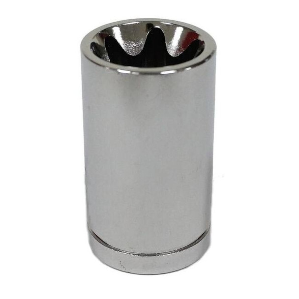 Westward External Star Socket,E16 20HX41