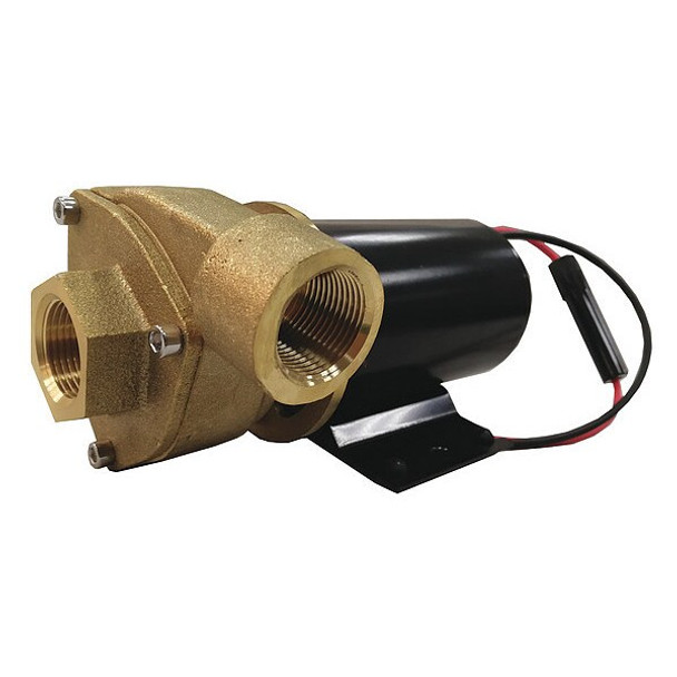 Dayton Brass 1/8 HP Centrifugal Pump 12V 5PXX4