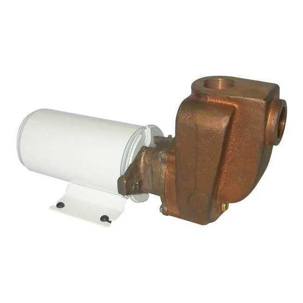 Dayton CentrfPmp,1/8hp,Brass,3/4",Crbn/Crmc/FKM 5PXX5