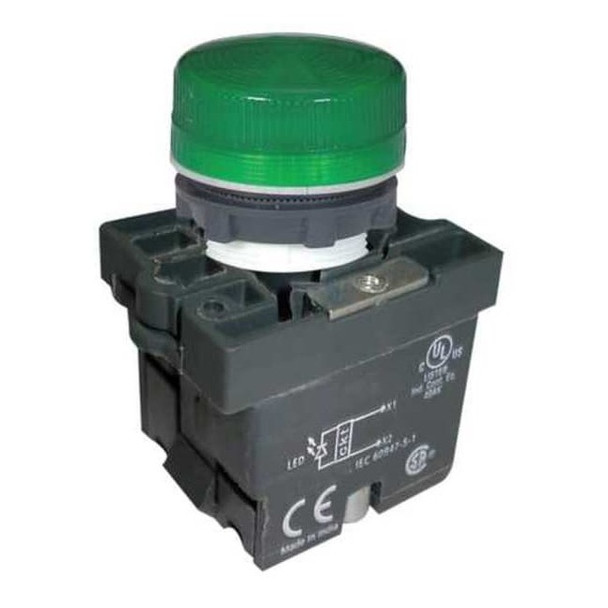 Dayton Pilot Light,22mm,LED,Green 30G217