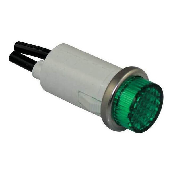 Dayton Raised Panel Light, Green, 24 V AC/DC 22NY45