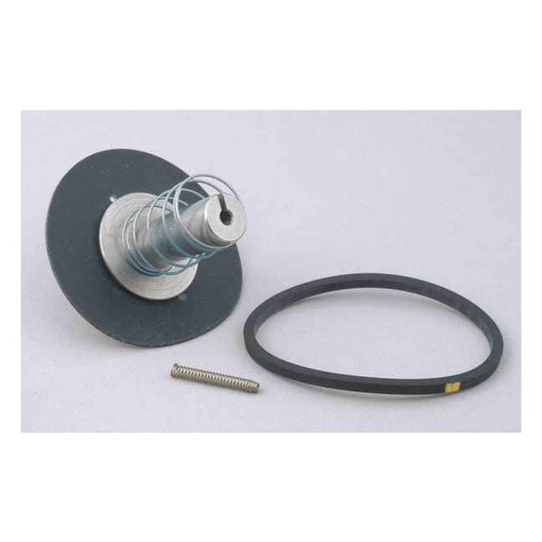 Dayton Valve Rebuild Kit,With Instructions 066062
