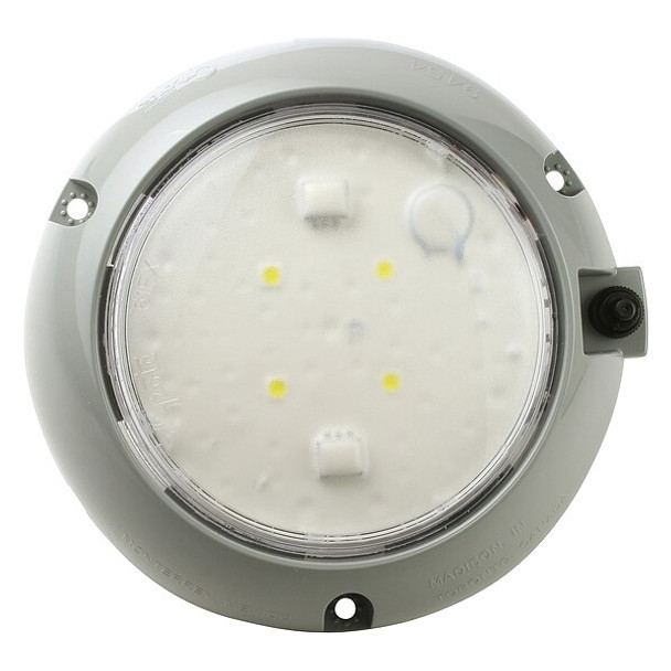 Grote Dome Lamp,Surface Mnt,LED,Dia 5 29/32 In 61171