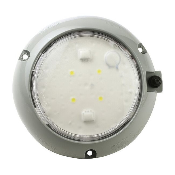 Grote Dome Lamp,Surface Mnt,LED,Dia 5 29/32 In 61171