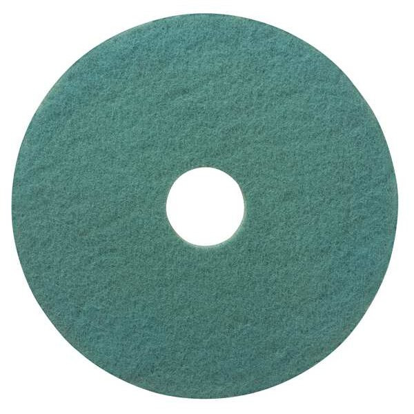 Tough Guy Burnishing Pad,Aqua,Size 27",Round,PK5 402V83