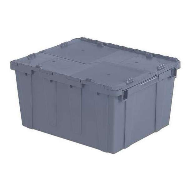 Orbis FP261 Gray