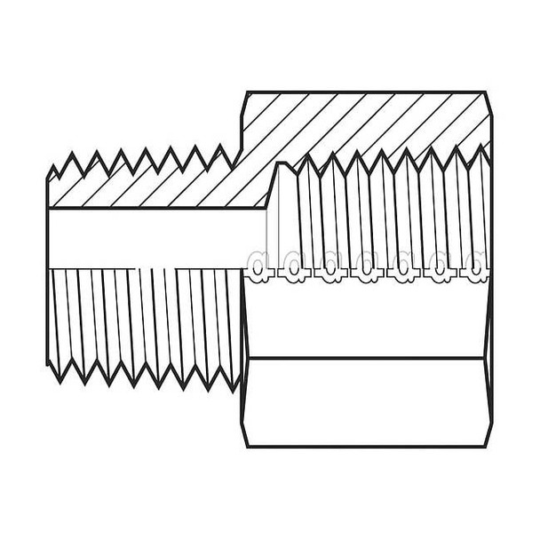 Adaptall Hose Adapter,1/8",BSPT,1/8",NPT 9042-0202
