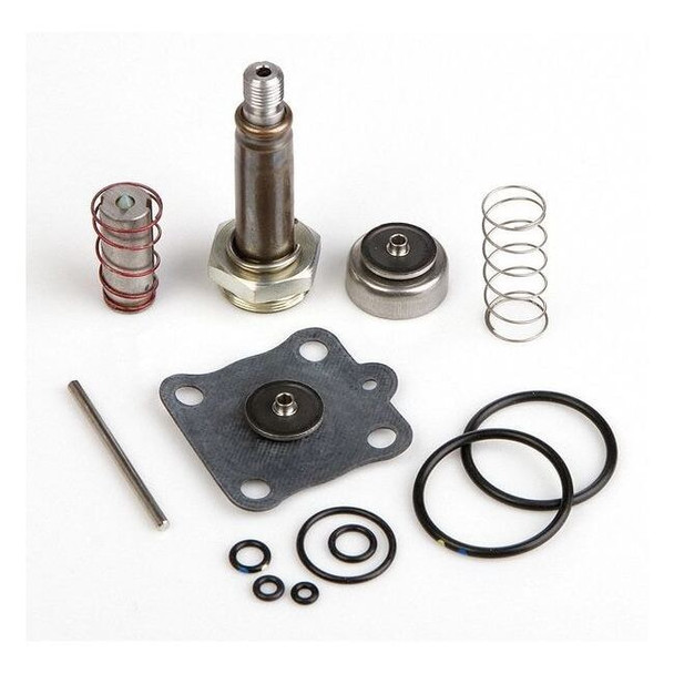 Asco Rebuild Kit 314491