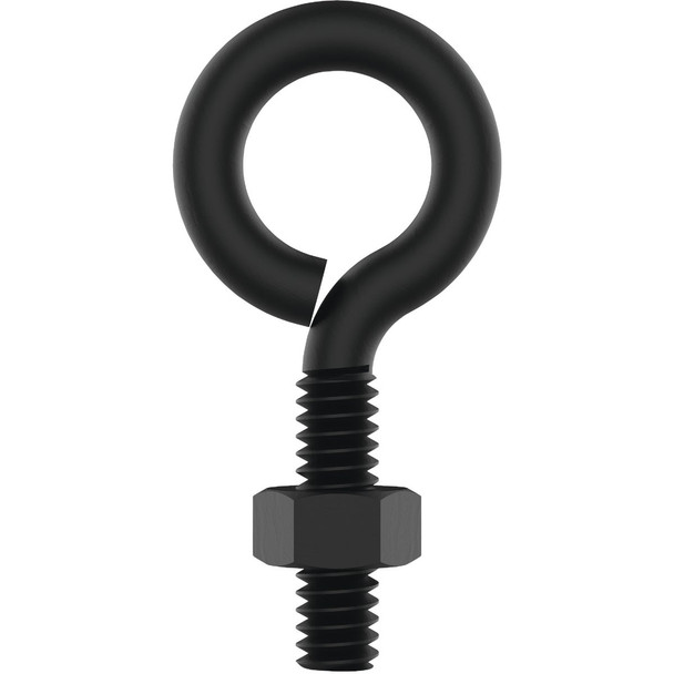 National Hardware 1/4 In. x 2 In. Storm Shine Eye Bolt with Nut N820-095