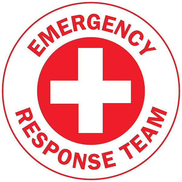 Brady Hard Hat Emblem Label,English,PK4, 49556 49556