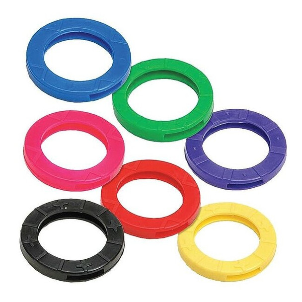 Lucky Line Key Identifier, Multicolor, Vinyl, Medium, 20 PK 1670020