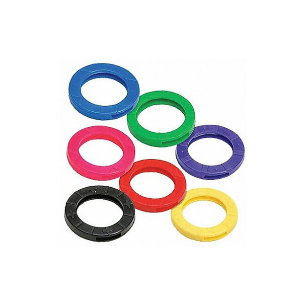 Lucky Line Key Identifier, Multicolor, Vinyl, Medium, 20 PK 1670020