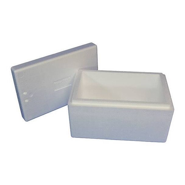 Insulated Shipping Bio Foam & Carton, 1-5 Day, Inside Depth: 8-1/4"