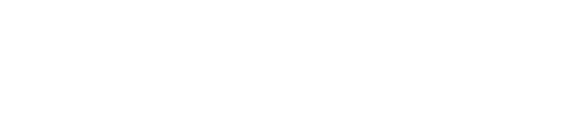 Sim government supply