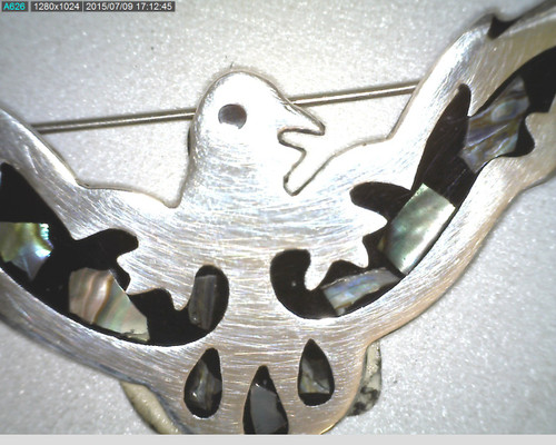 Sterling, stone and enamel bird pin