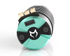Cayote Crest 4268 1/8 Sensored Brushless Motor (1900kV) (IFMAR)