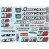 Team Associated B6 Decal Sheet