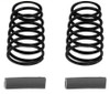 Team Associated RC10F6 Side Spring (2) (Gray - 5.2lb)