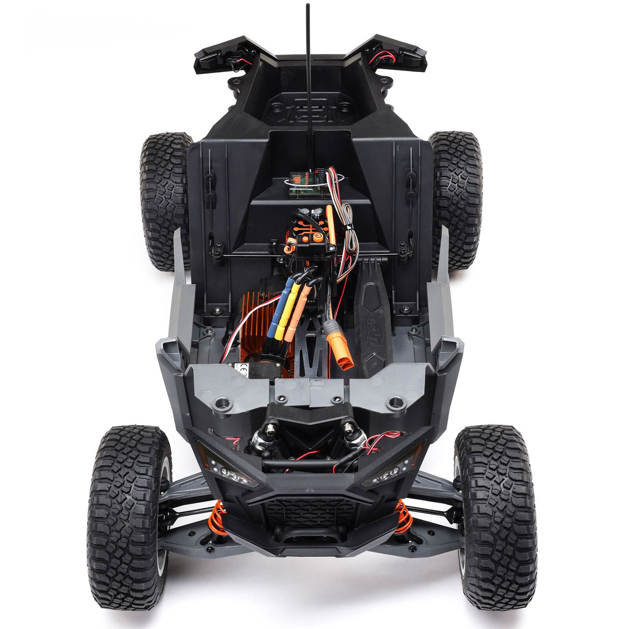 Losi 1/10 RZR Rey 4WD Brushless RTR, Fox - BeachRC.com
